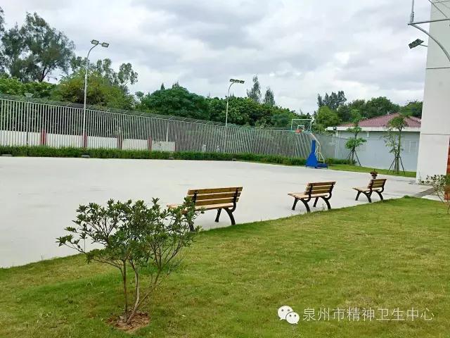 乐竞体育